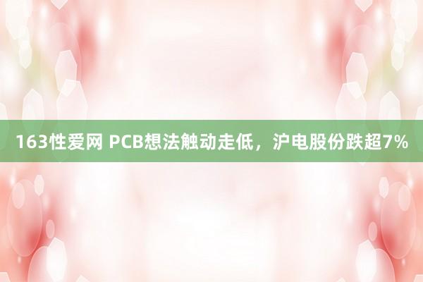163性爱网 PCB想法触动走低，沪电股份跌超7%