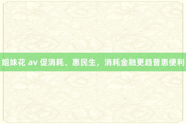 姐妹花 av 促消耗、惠民生，消耗金融更趋普惠便利