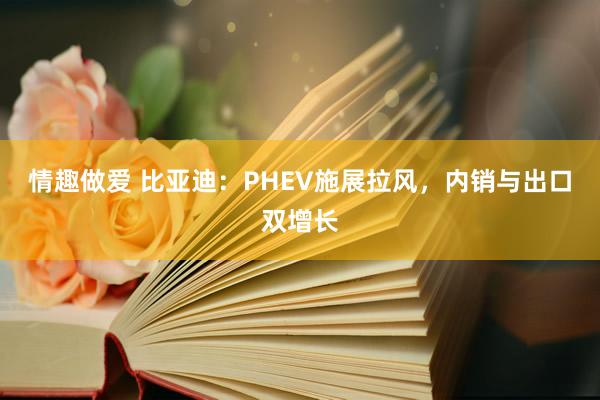 情趣做爱 比亚迪：PHEV施展拉风，内销与出口双增长