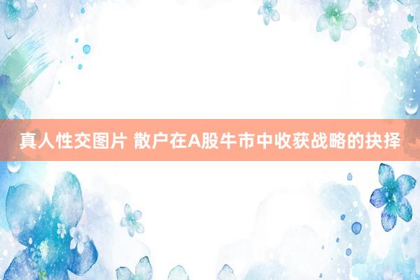 真人性交图片 散户在A股牛市中收获战略的抉择