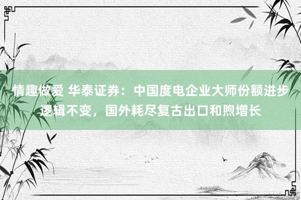 情趣做爱 华泰证券：中国度电企业大师份额进步逻辑不变，国外耗尽复古出口和煦增长