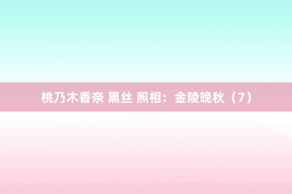桃乃木香奈 黑丝 照相：金陵晚秋（7）