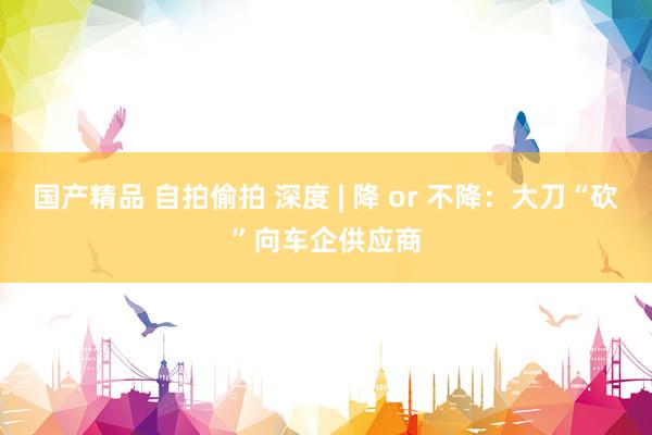 国产精品 自拍偷拍 深度 | 降 or 不降：大刀“砍”向车企供应商
