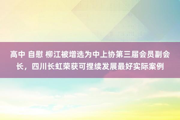 高中 自慰 柳江被增选为中上协第三届会员副会长，四川长虹荣获可捏续发展最好实际案例