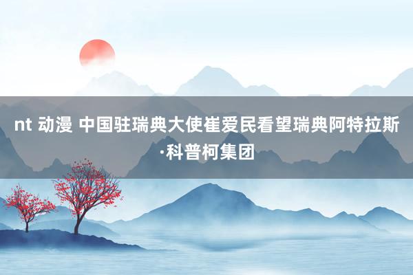 nt 动漫 中国驻瑞典大使崔爱民看望瑞典阿特拉斯·科普柯集团