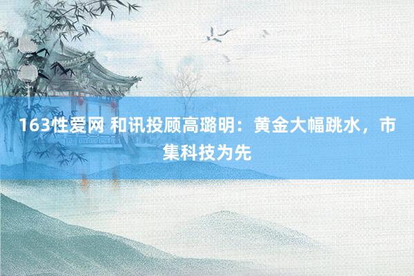163性爱网 和讯投顾高璐明：黄金大幅跳水，市集科技为先