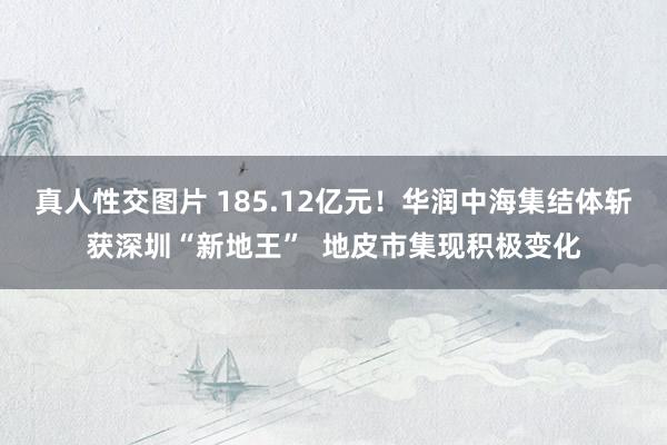 真人性交图片 185.12亿元！华润中海集结体斩获深圳“新地王”  地皮市集现积极变化