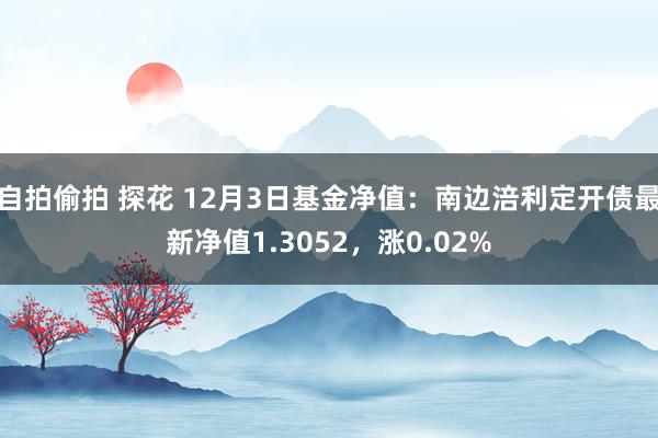自拍偷拍 探花 12月3日基金净值：南边涪利定开债最新净值1.3052，涨0.02%