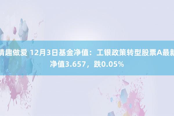 情趣做爱 12月3日基金净值：工银政策转型股票A最新净值3.657，跌0.05%