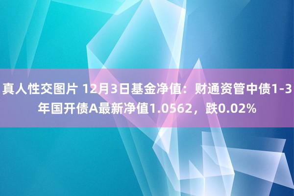 真人性交图片 12月3日基金净值：财通资管中债1-3年国开债A最新净值1.0562，跌0.02%
