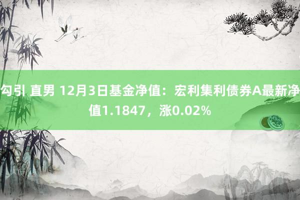 勾引 直男 12月3日基金净值：宏利集利债券A最新净值1.1847，涨0.02%