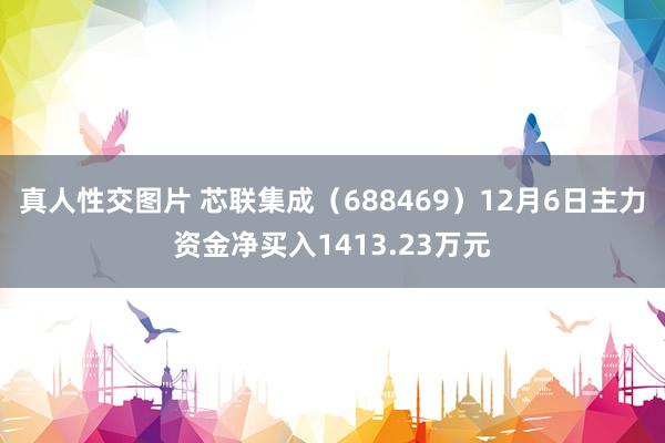 真人性交图片 芯联集成（688469）12月6日主力资金净买入1413.23万元