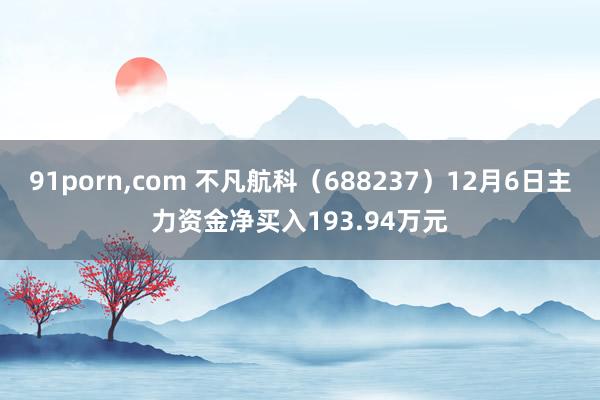 91porn，com 不凡航科（688237）12月6日主力资金净买入193.94万元