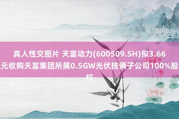 真人性交图片 天富动力(600509.SH)拟3.66亿元收购天富集团所属0.5GW光伏技俩子公司100%股权