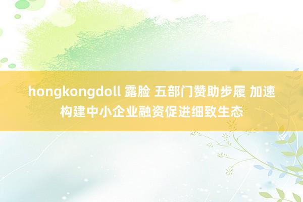 hongkongdoll 露脸 五部门赞助步履 加速构建中小企业融资促进细致生态