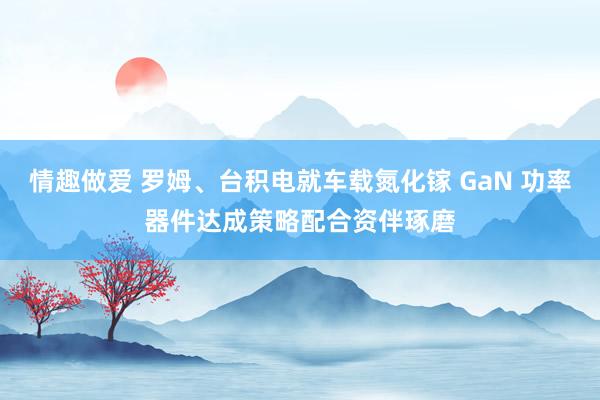 情趣做爱 罗姆、台积电就车载氮化镓 GaN 功率器件达成策略配合资伴琢磨