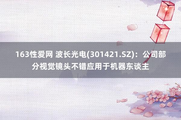 163性爱网 波长光电(301421.SZ)：公司部分视觉镜头不错应用于机器东谈主