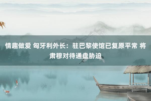 情趣做爱 匈牙利外长：驻巴黎使馆已复原平常 将肃穆对待通盘胁迫