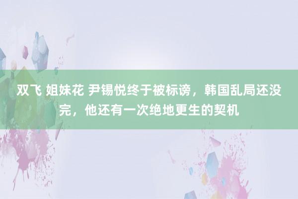 双飞 姐妹花 尹锡悦终于被标谤，韩国乱局还没完，他还有一次绝地更生的契机
