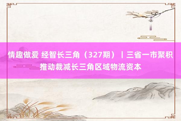 情趣做爱 经智长三角（327期）丨三省一市聚积推动裁减长三角区域物流资本