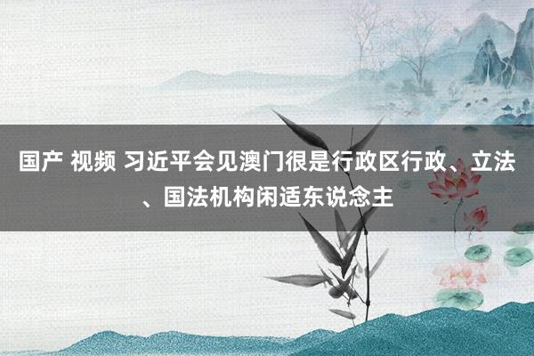 国产 视频 习近平会见澳门很是行政区行政、立法、国法机构闲适东说念主