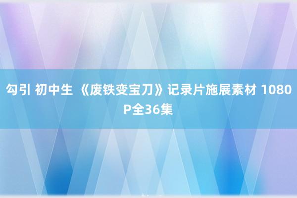 勾引 初中生 《废铁变宝刀》记录片施展素材 1080P全36集
