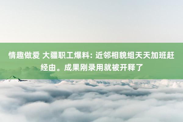 情趣做爱 大疆职工爆料: 近邻相貌组天天加班赶经由。成果刚录用就被开释了