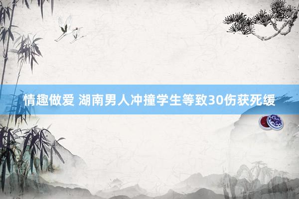 情趣做爱 湖南男人冲撞学生等致30伤获死缓