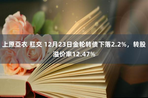 上原亞衣 肛交 12月23日金轮转债下落2.2%，转股溢价率12.47%