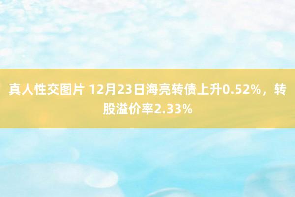 真人性交图片 12月23日海亮转债上升0.52%，转股溢价率2.33%