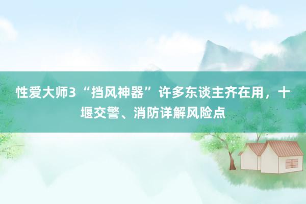 性爱大师3 “挡风神器” 许多东谈主齐在用，十堰交警、消防详解风险点