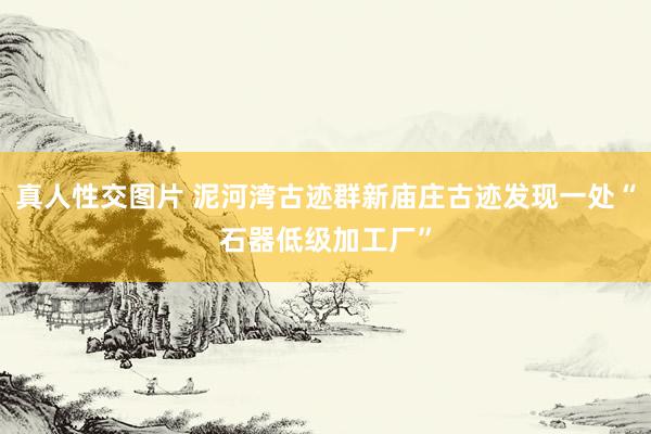 真人性交图片 泥河湾古迹群新庙庄古迹发现一处“石器低级加工厂”