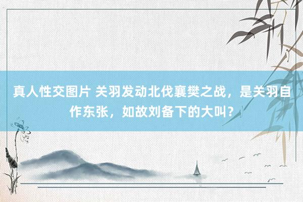 真人性交图片 关羽发动北伐襄樊之战，是关羽自作东张，如故刘备下的大叫？