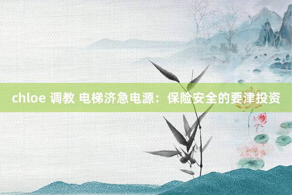 chloe 调教 电梯济急电源：保险安全的要津投资