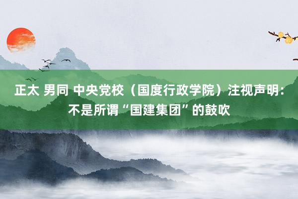正太 男同 中央党校（国度行政学院）注视声明：不是所谓“国建集团”的鼓吹