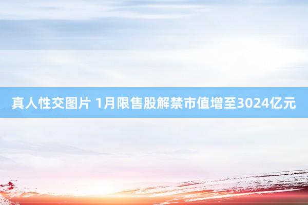 真人性交图片 1月限售股解禁市值增至3024亿元