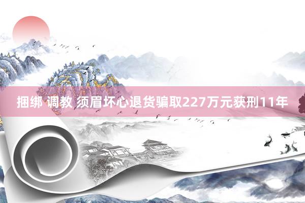 捆绑 调教 须眉坏心退货骗取227万元获刑11年