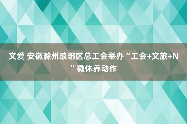 文爱 安徽滁州琅琊区总工会举办“工会+文旅+N”微休养动作