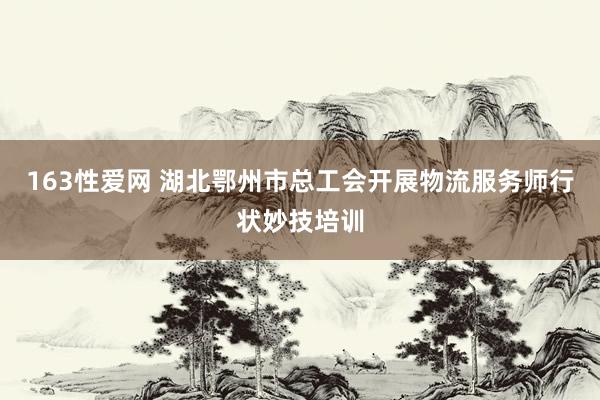 163性爱网 湖北鄂州市总工会开展物流服务师行状妙技培训