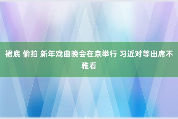 裙底 偷拍 新年戏曲晚会在京举行 习近对等出席不雅看