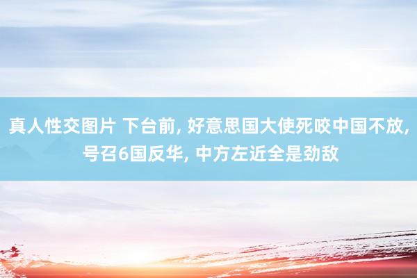 真人性交图片 下台前， 好意思国大使死咬中国不放， 号召6国反华， 中方左近全是劲敌