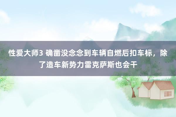 性爱大师3 确凿没念念到车辆自燃后扣车标，除了造车新势力雷克萨斯也会干
