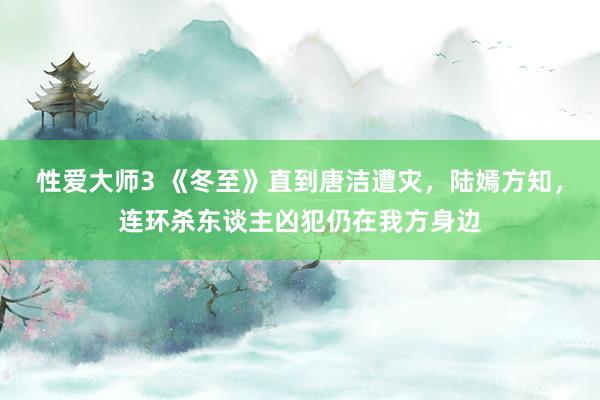 性爱大师3 《冬至》直到唐洁遭灾，陆嫣方知，连环杀东谈主凶犯仍在我方身边