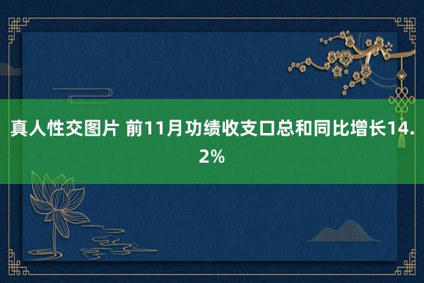 真人性交图片 前11月功绩收支口总和同比增长14.2%