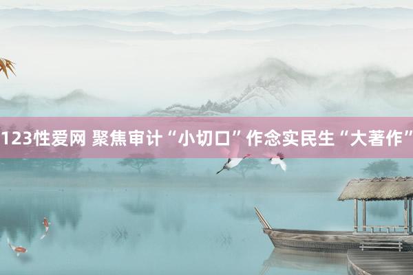 123性爱网 聚焦审计“小切口”作念实民生“大著作”