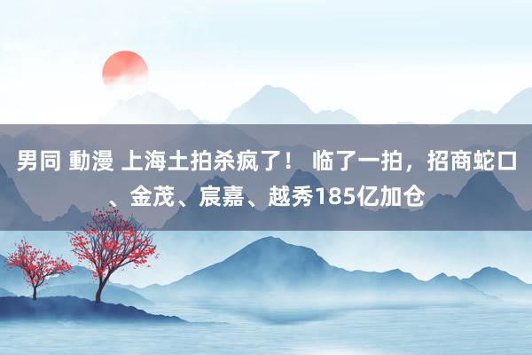 男同 動漫 上海土拍杀疯了！ 临了一拍，招商蛇口、金茂、宸嘉、越秀185亿加仓