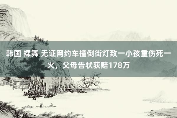 韩国 裸舞 无证网约车撞倒街灯致一小孩重伤死一火，父母告状获赔178万