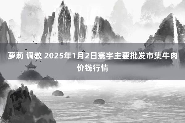 萝莉 调教 2025年1月2日寰宇主要批发市集牛肉价钱行情