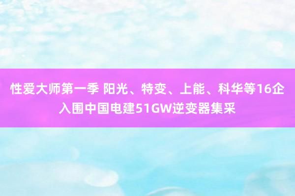 性爱大师第一季 阳光、特变、上能、科华等16企入围中国电建51GW逆变器集采