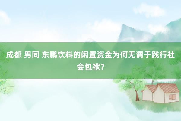 成都 男同 东鹏饮料的闲置资金为何无谓于践行社会包袱？